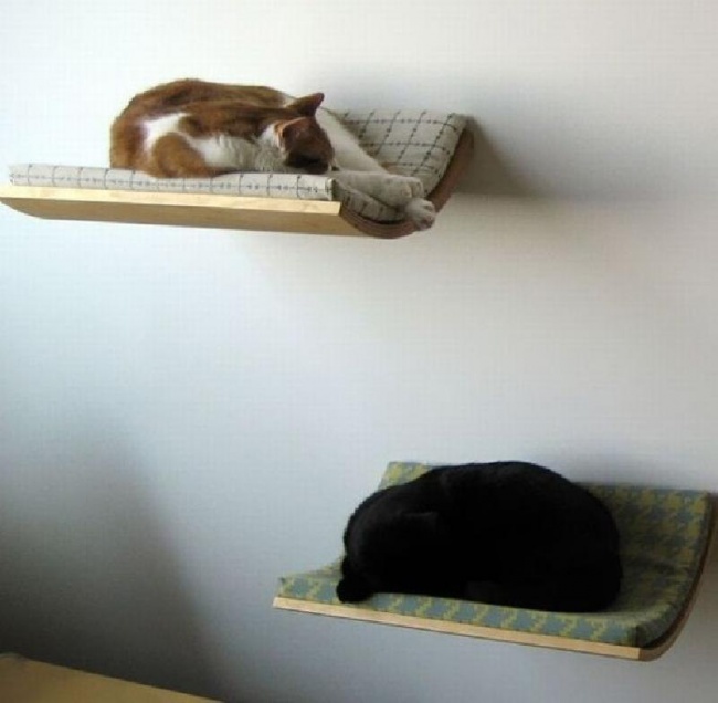 Betten als Regale für Katzen