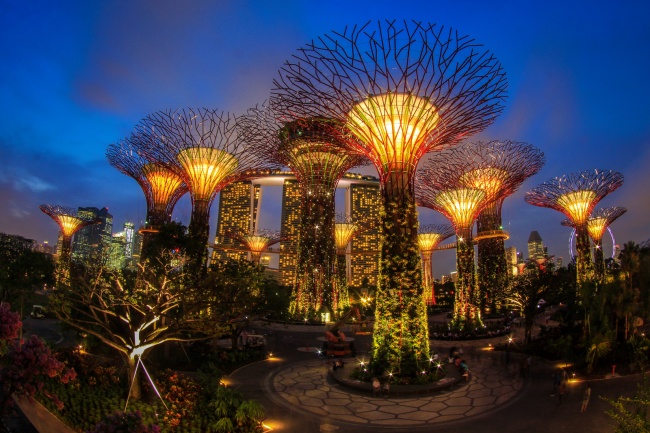 Botanische Bay Gärten von Singapur  1
