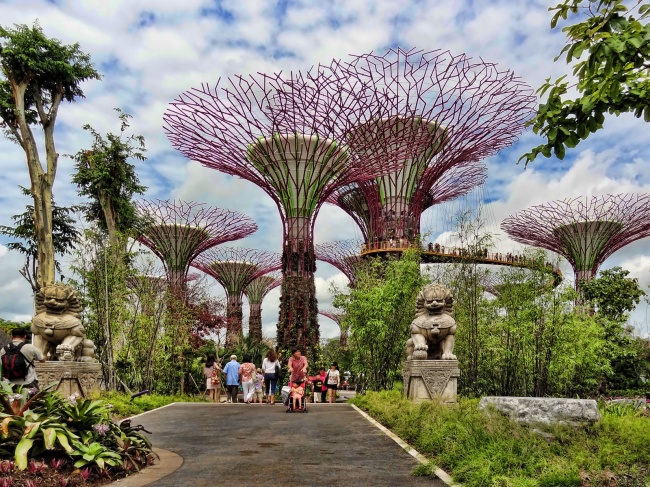 Botanische Bay Gärten von Singapur 13