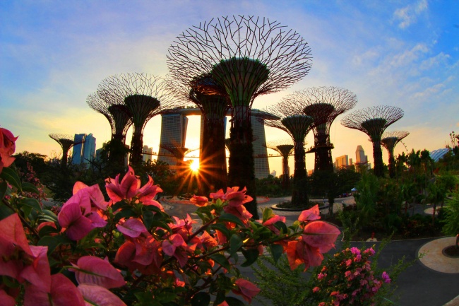 Botanische Bay Gärten von Singapur 14