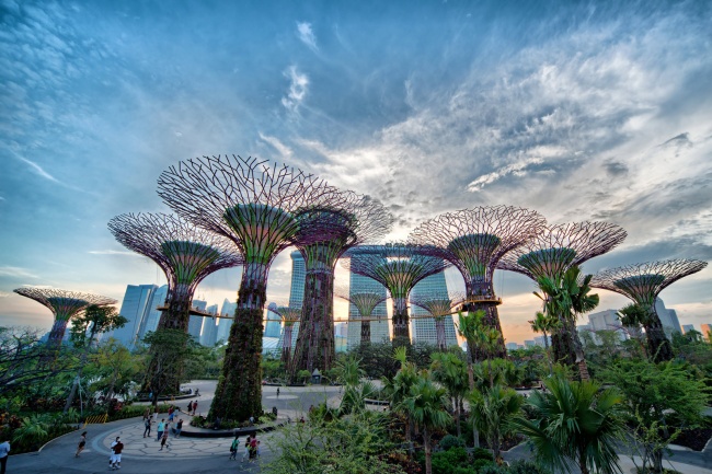 Botanische Bay Gärten von Singapur  2