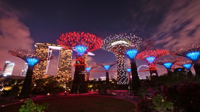 Botanische Bay Gärten von Singapur 7
