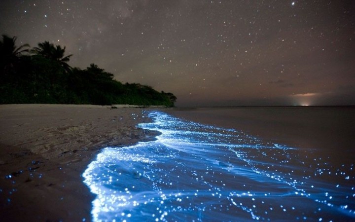 Bioluminescente Bucht in Vieques