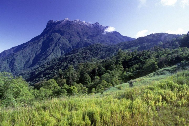 Kinabalu Nationalpark