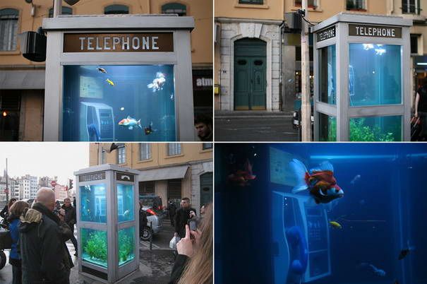 Phone Booth Aquarium