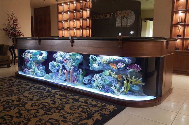 Rezeption aquarium